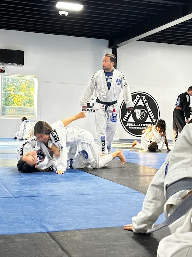 Iron Army Academy, academy photo 1